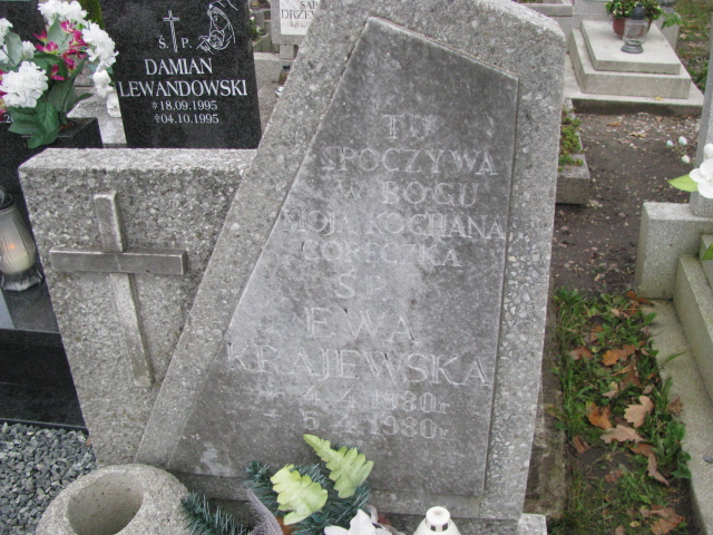 Ewa Krajewska 1980 Puck - Grobonet - Wyszukiwarka osób pochowanych