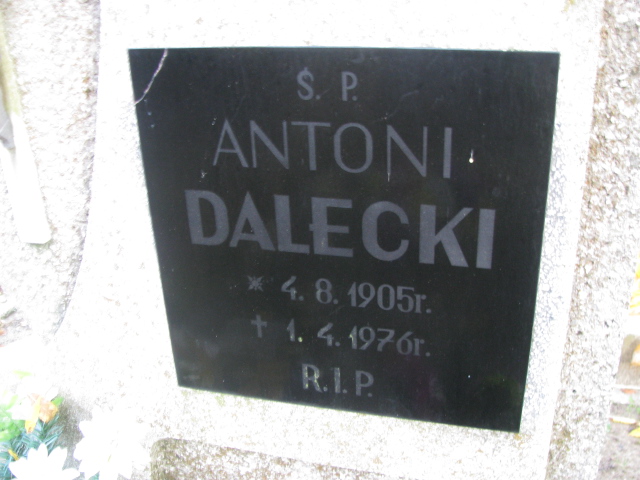 Antoni Dalecki 1905 Puck - Grobonet - Wyszukiwarka osób pochowanych