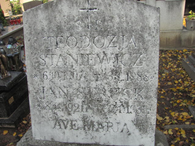 Jan Struck 1921 Puck - Grobonet - Wyszukiwarka osób pochowanych