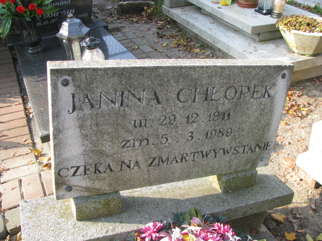 Janina Chłopek 1911 Puck - Grobonet - Wyszukiwarka osób pochowanych
